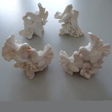 Colombe Tortore Florencia