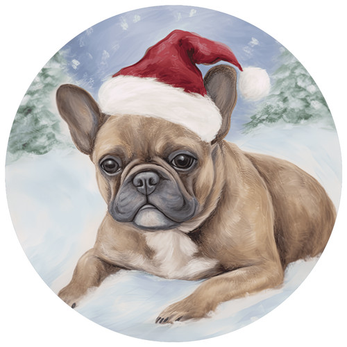 Bulldog francese cane - , auto