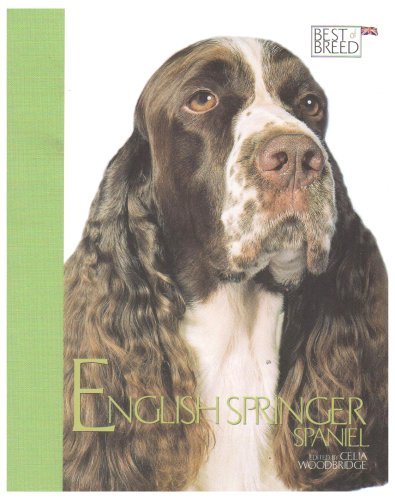 English springer spaniel best - springer, (best