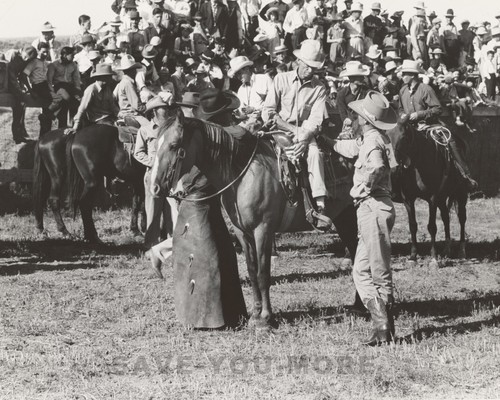 Cowboys bean day rodeo - bean,