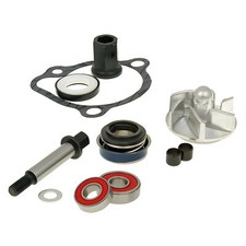 Riparazione delle pompe