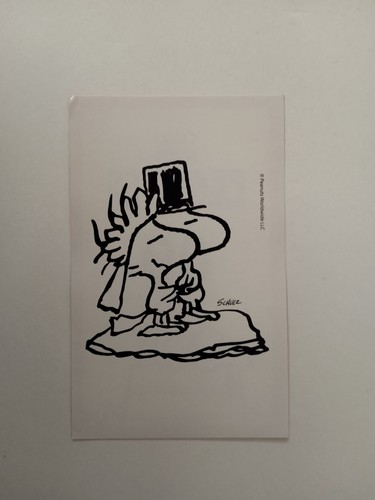 Figurina peanuts coop - peanuts,