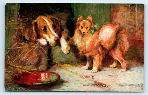 Postcard fox hound and - and, toy