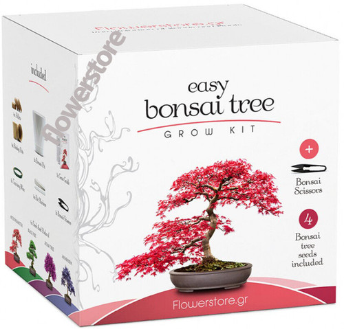 Master the art - the, bonsai: