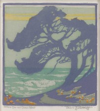 Pedro Lemos: Dove albero e