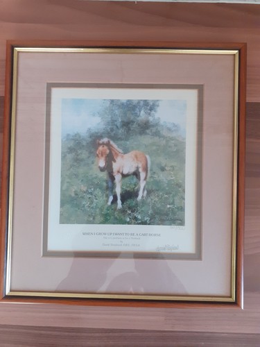 Stampa david shepherd edizione - shepherd,