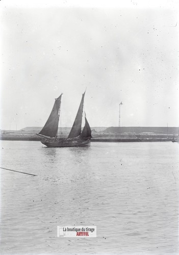 Vela deux alberi - vela,