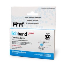 Lidoband Singolo (8ct)