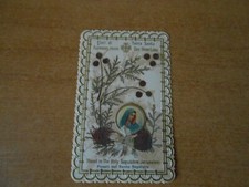 santino FIORI DI TERRA SANTA PLACED IN THE HOLLY SEPULCHRE JERUSALEM