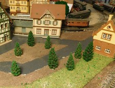 50 Abeti Scuri, Alberi Di