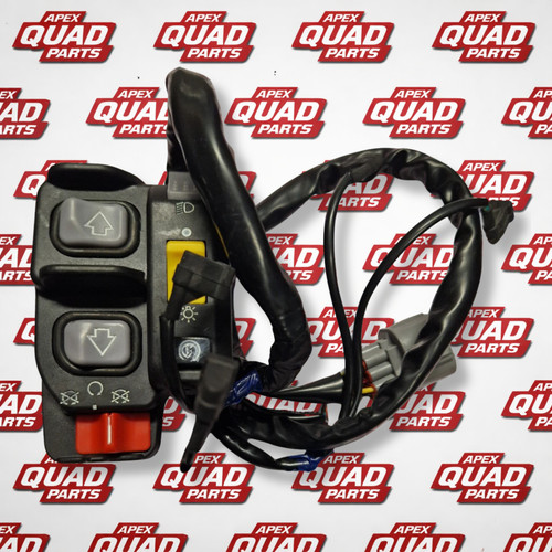 Honda trx250 2007 2026 - trx250, te