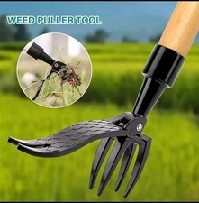 Sarchiatore Erbacce E Radici