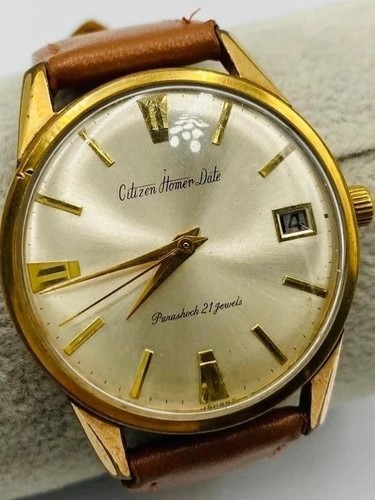 Citizen homer data carica - homer,