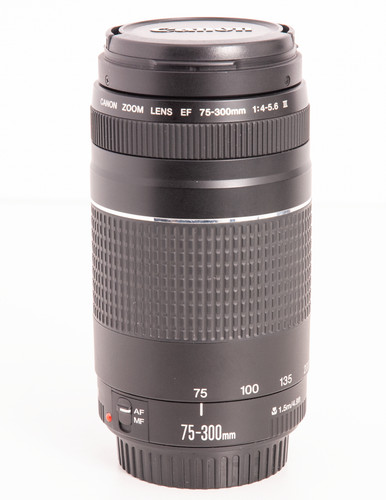 Canon 300mm 5 6 iii - canon, f/4-5.6