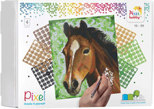 Pixel P090027 Cavallo Da
