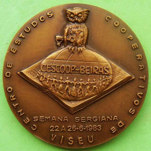 Medaglia bronzo saggezza - medaglia,