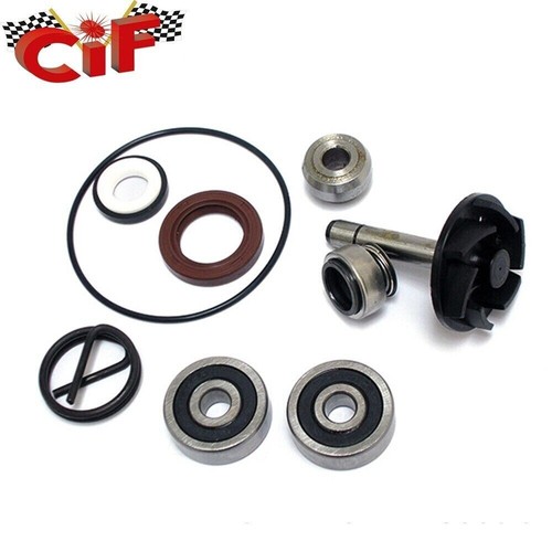 18018 kit revisione - revisione, pompa