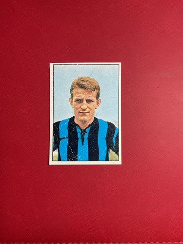Figurina calciatori panini - figurina,