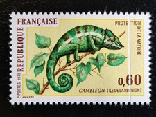 VARIÉTÉ - Caméléon , Maury