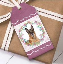 Pastore Belga Malinois Cane