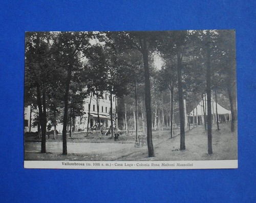 Cartolina postcard vallombrosa - postcard,