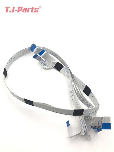 Cavo testina stampante - ,