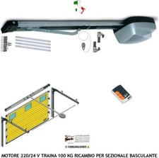 MOTORE 220/24V TRAINA 100 KG