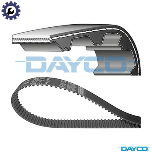 Cinghia distribuzione 941053 - distribuzione,