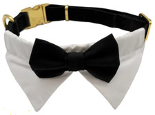 COLLARE CANE CEREMONY SMOKING