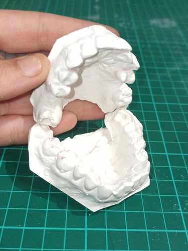 Stampo dentale gesso - dentale, in