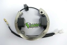 Selettra Mini Stator for KTM