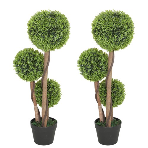 Set piante bosso - piante,
