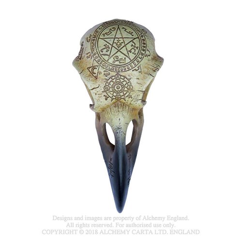 Alchemy omega raven skull - omega,