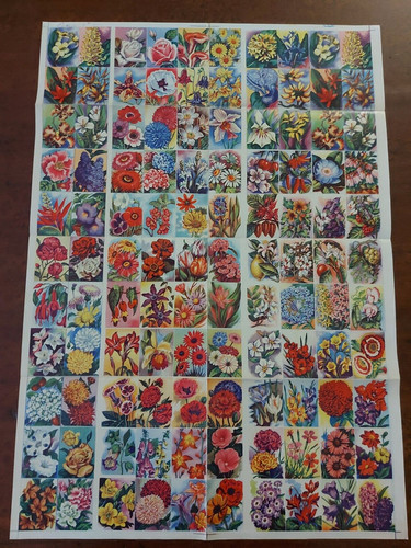Foglio 110 figurine fiori - 110,