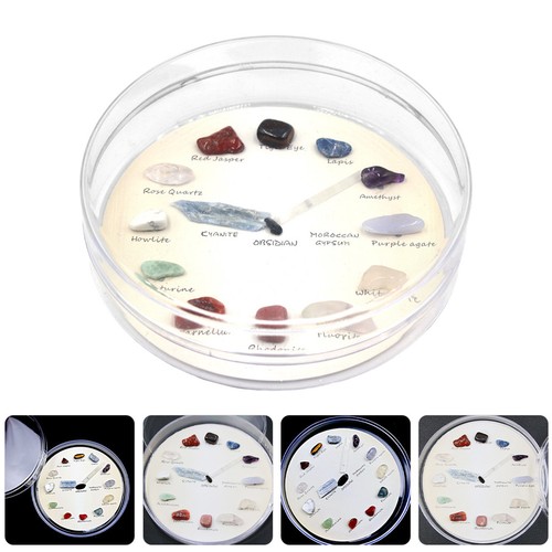 Pietre sassi decorativi - ,
