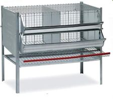 Gabbia Per Galline Ovaiole 2