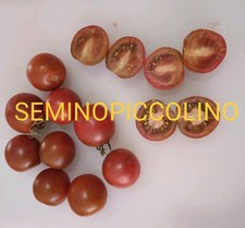25 Semi Pomodoro Camone