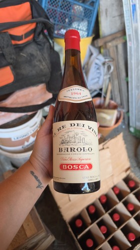 Bosca barolo doc - barolo, 1964
