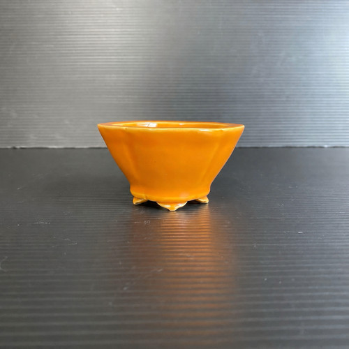 Vaso per bonsai giapponese
