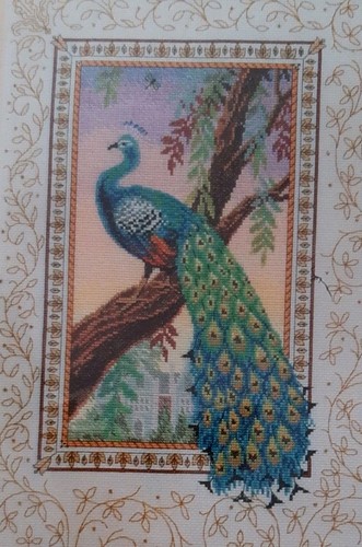 Pavone rinascimentale kit - rinascimentale, 🦚