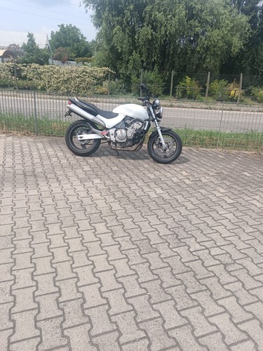 Honda hornet 600 2000 - 600,