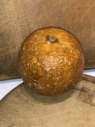 Antica pietra alabastro