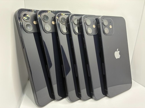 Iphone 64gb sbloccato - 12,