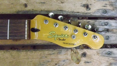 Fender squier classic - squier, vibe