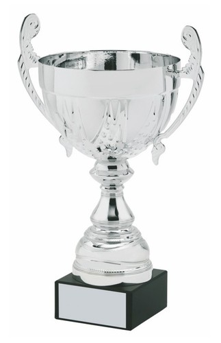 Trofeo coppa personalizzato - coppa,