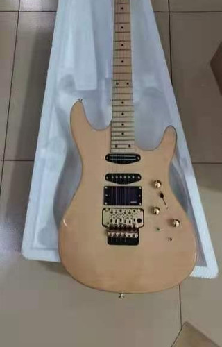 Chitarra elettrica - chitarra,