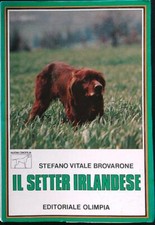 IL SETTER IRLANDESE VITALE BROVARONE STEFANO OLIMPIA 1985  BROSSURA