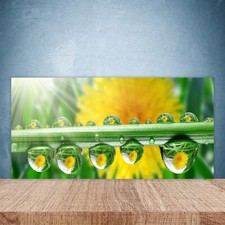 Paraschizzi da Cucina 100x50