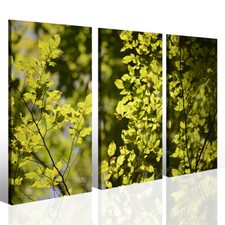 Quadro foglie verdi Il bello