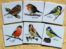 6pz Piastrelle da cucina 10 x